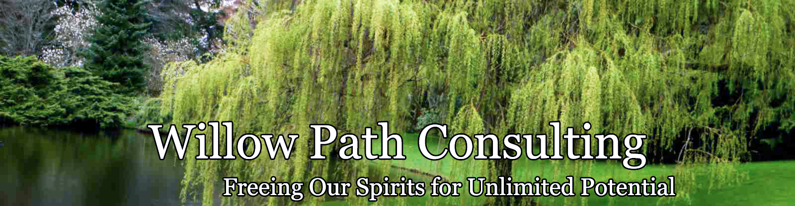 Willow Path Consulting